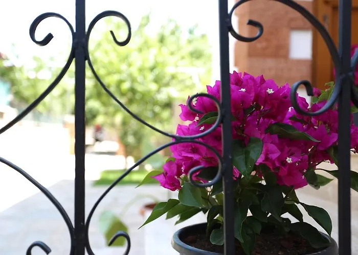 Apartman Limon Apart