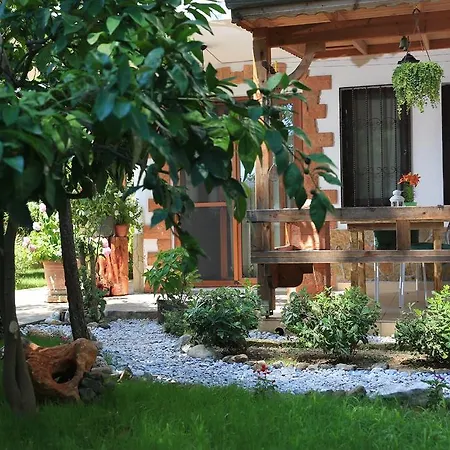 Limon Apart Apartment