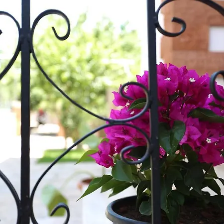 Apartment Limon Apart